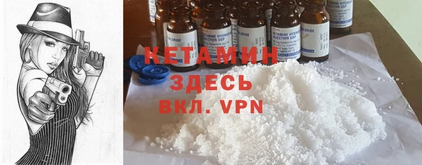 крисы Алексин