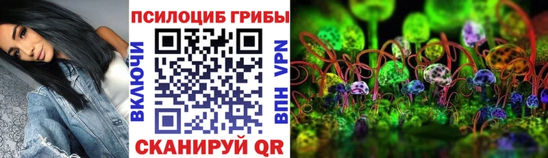 Галлюциногенные грибы мицелий  Каневская 